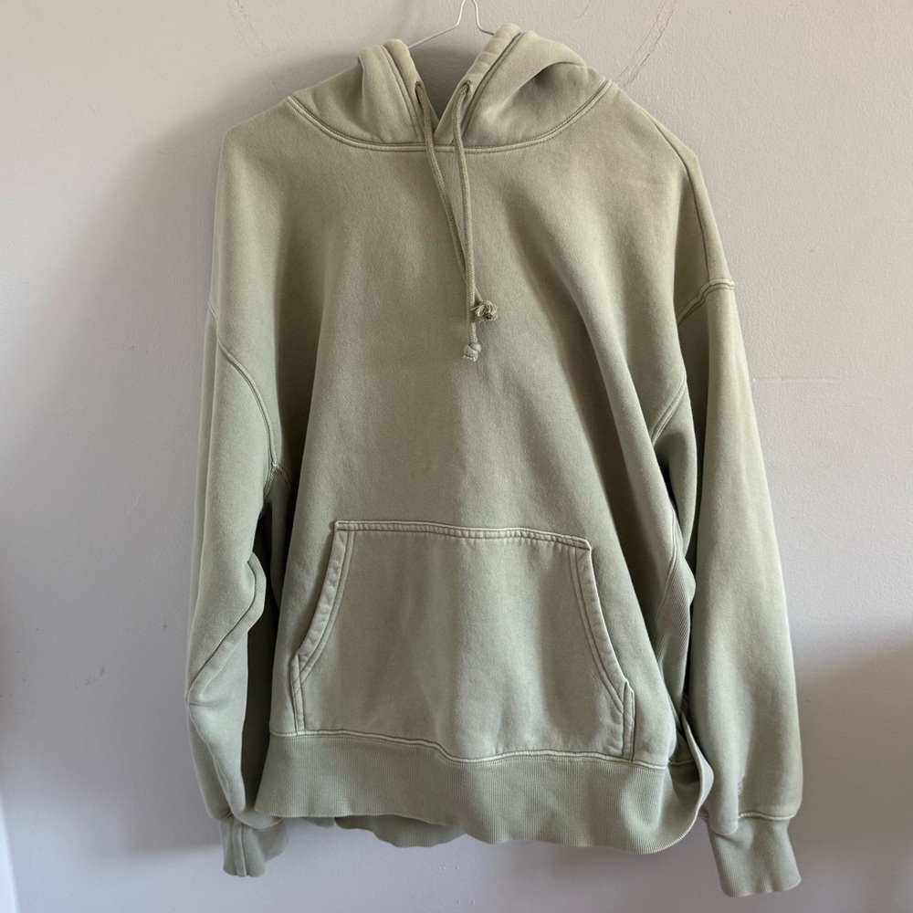 Aritzia Sage Hoodie